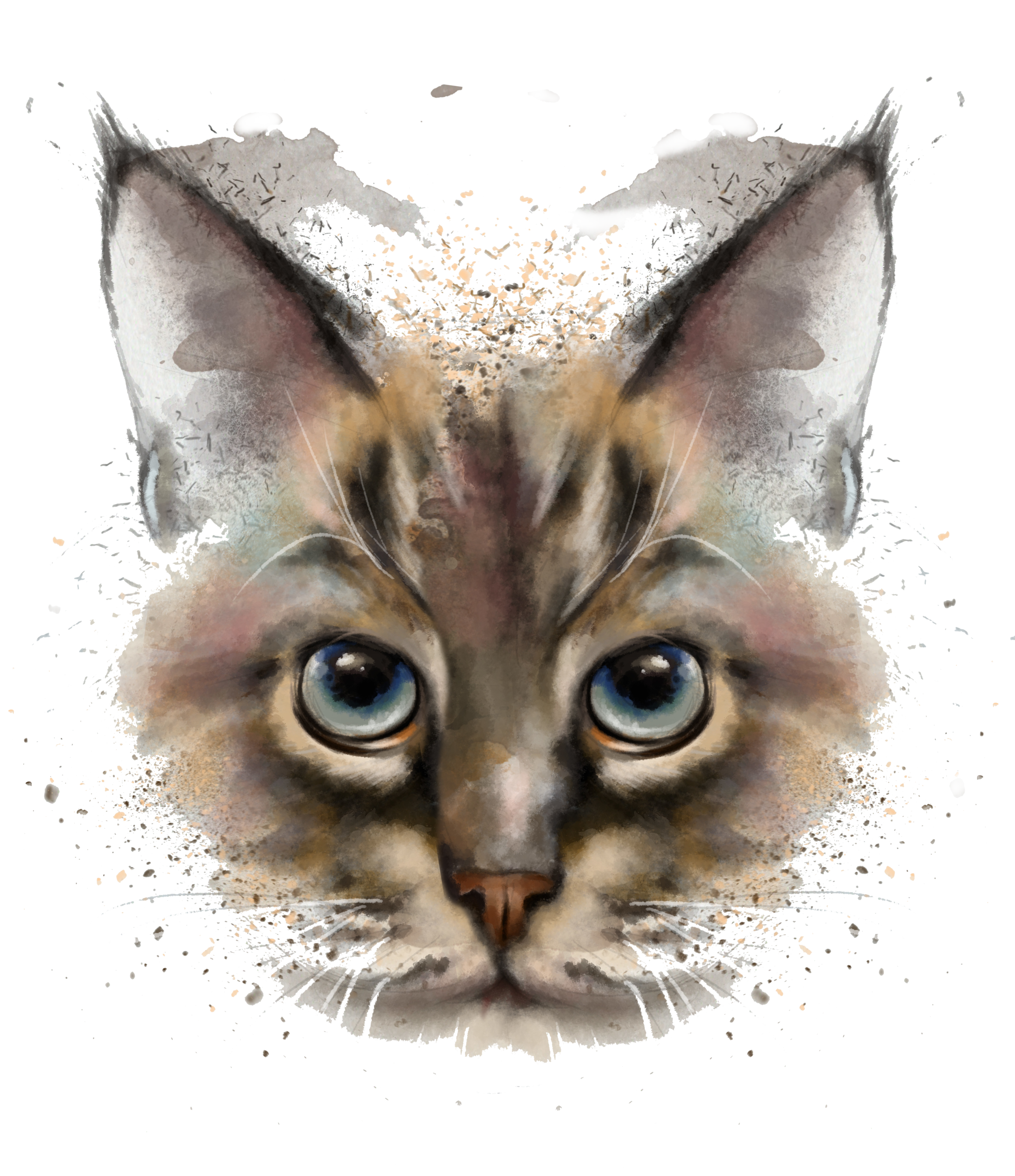full_cat full_cat